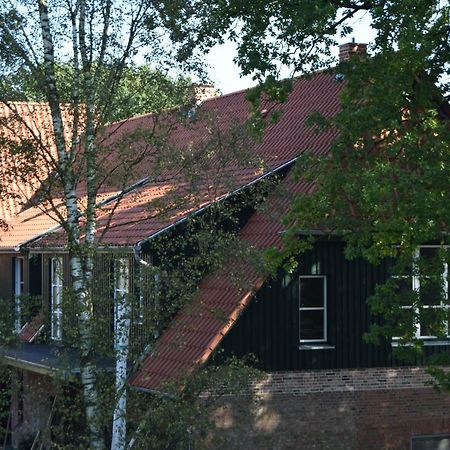 Ferien Hohes Elbufer Hotel Schnakenbek Exterior photo